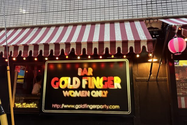 featured image for top 10 lesbian bars in nichome