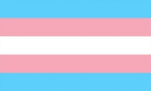 Transgender Pride Flag