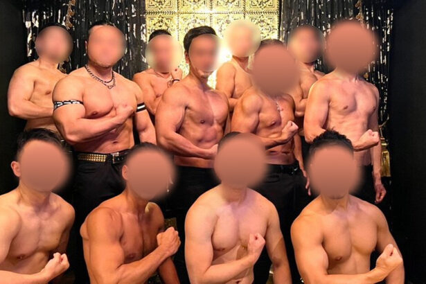 muscle bars