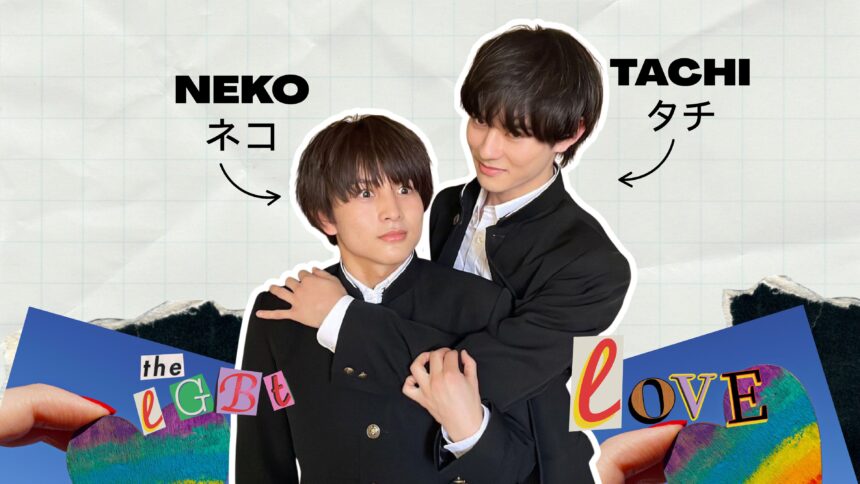 tachi and neko meaning