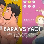 Bara vs Yaoi 1