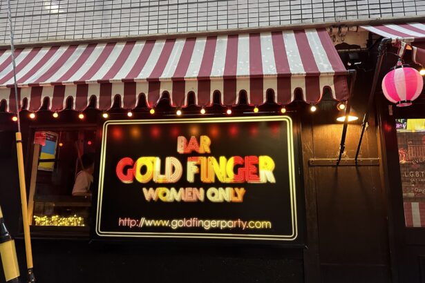featured image for top 10 lesbian bars in nichome