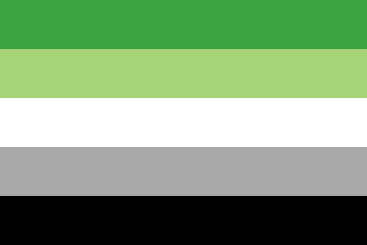 LGBTQ+ Pride Flags: Meanings, Colours and History 20 Aromantic Pride Flag, created by Tumblr user cameronwhimsy