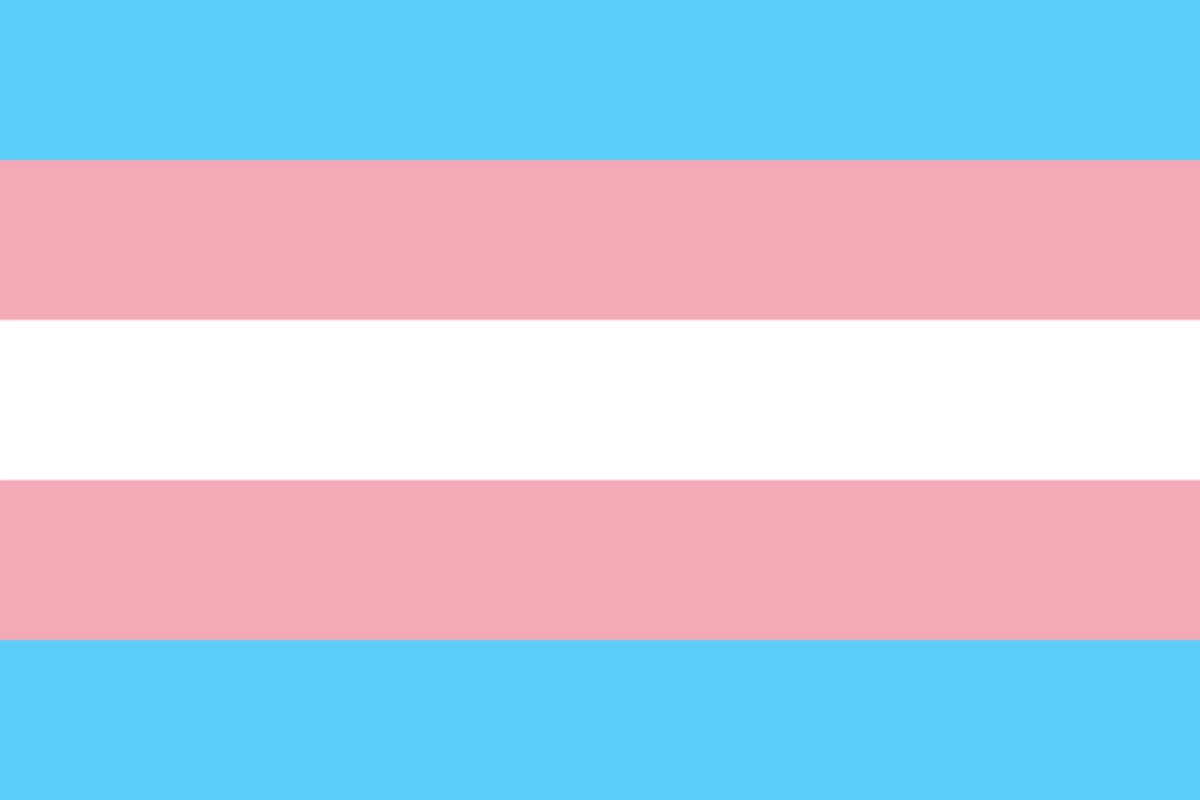 LGBTQ+ Pride Flags: Meanings, Colours and History 22 Transgender Pride Flag, created by trans activist Monica Helms