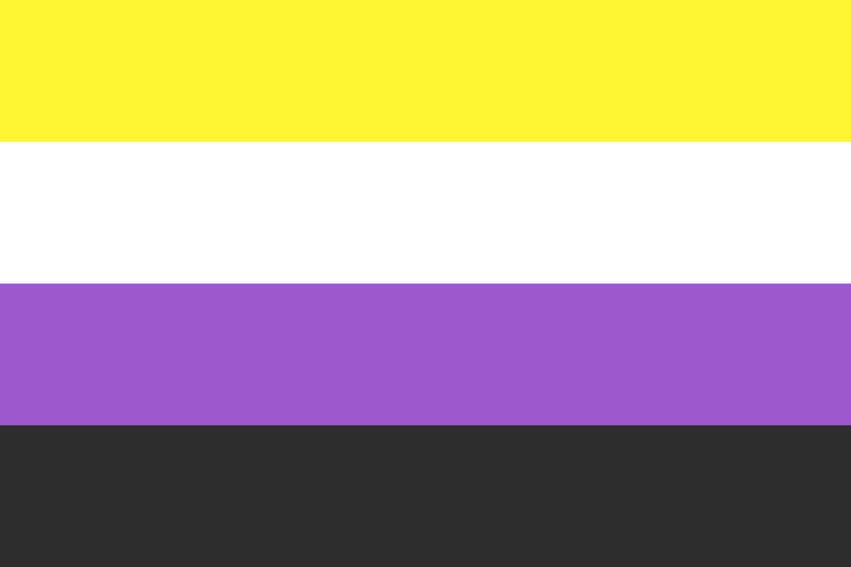 LGBTQ+ Pride Flags: Meanings, Colours and History 23 Nonbinary Pride Flag, created by Kye Rowan