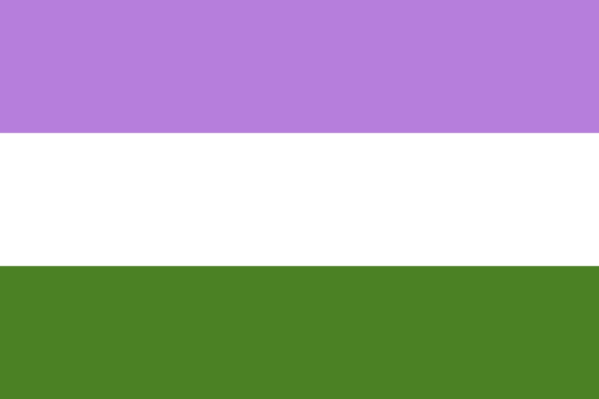 LGBTQ+ Pride Flags: Meanings, Colours and History 24 Genderqueer Pride Flag, created by Marilyn Roxie