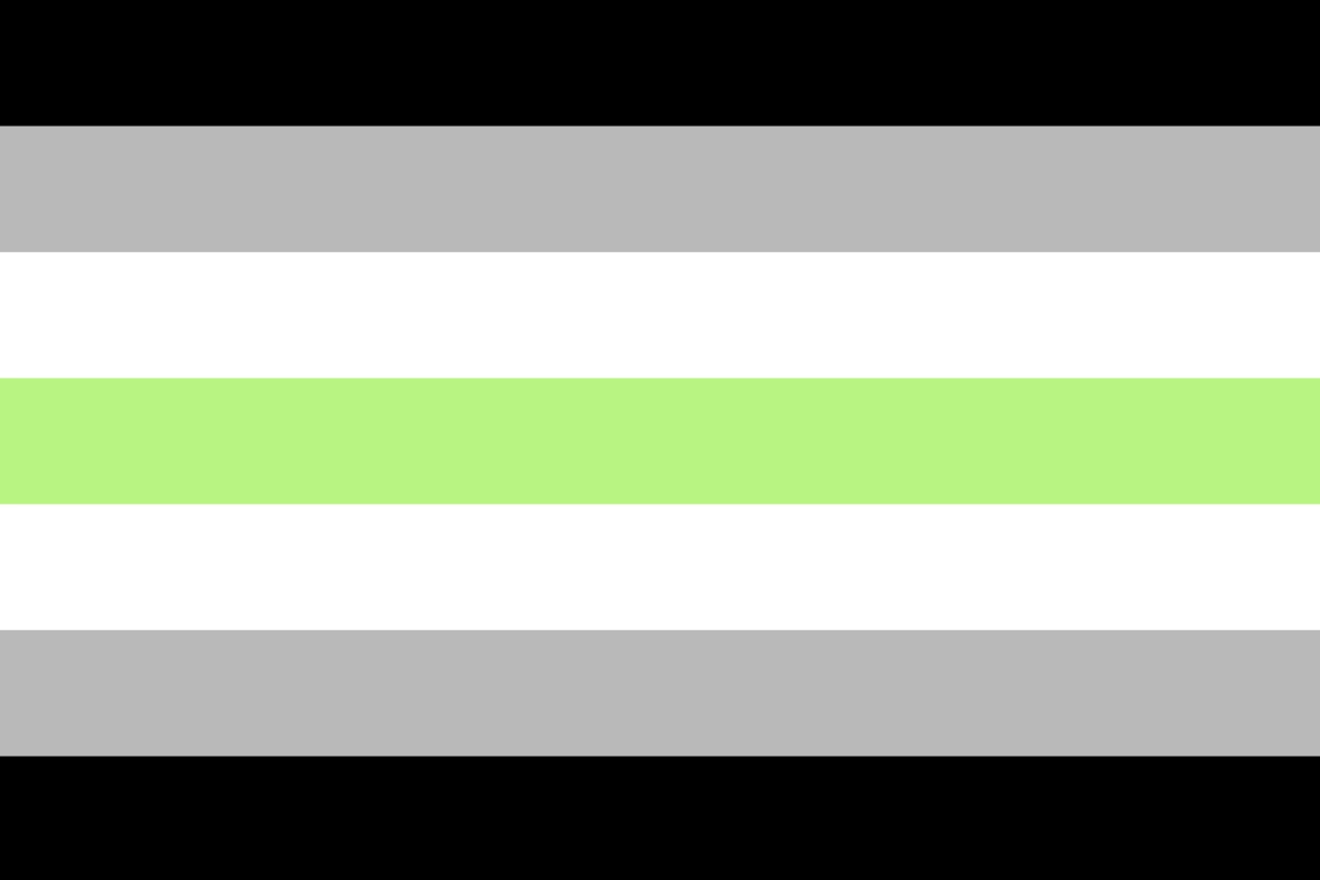 LGBTQ+ Pride Flags: Meanings, Colours and History 26 Agender Pride Flag, created by Salem X