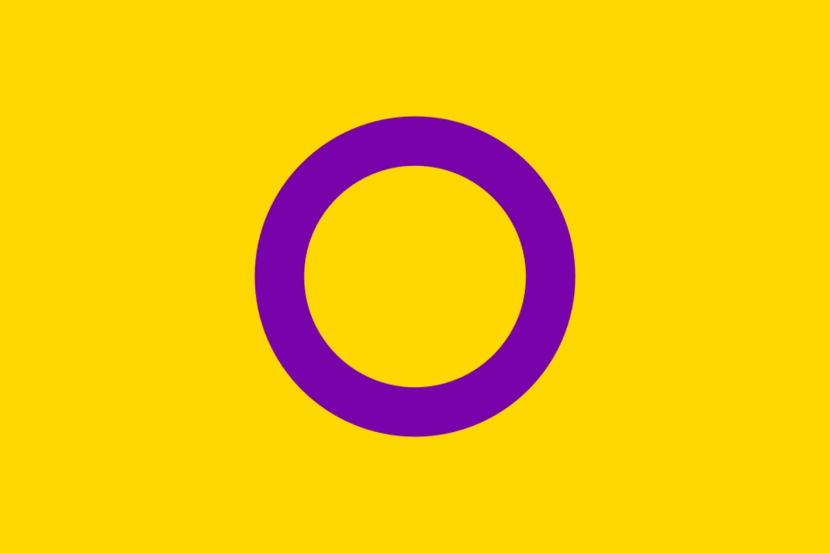 LGBTQ+ Pride Flags: Meanings, Colours and History 27 Intersex Flag, created by Morgan Carpenter of Intersex Human Rights Australia