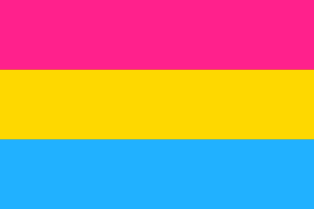 LGBTQ+ Pride Flags: Meanings, Colours and History 18 Pansexual Pride Flag, created by Tumblr user Jasper V