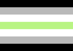 A Guide to LGBTQ+ Pride Flags 51 Agender Pride Flag