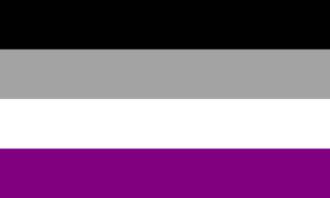 A Guide to LGBTQ+ Pride Flags 45 Asexual Pride Flag