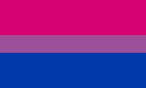 A Guide to LGBTQ+ Pride Flags 43 Bisexual Pride Flag