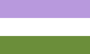 GenderQueer Pride Flag