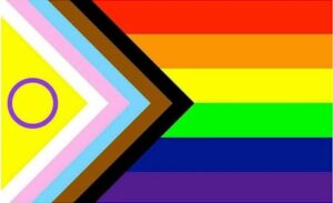 A Guide to LGBTQ+ Pride Flags 40 Progress Pride flag