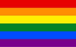 A Guide to LGBTQ+ Pride Flags 39 six-color pride flag