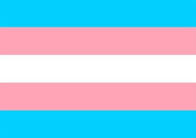 Trans Flag