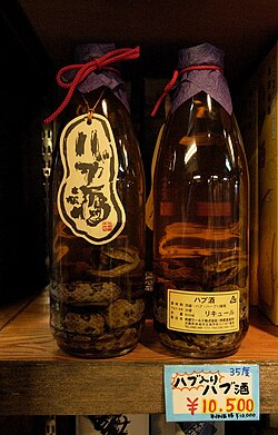 Gay Travel: Discover Okinawa 13 image 2 2