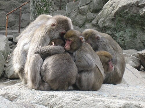 Beppu for LGBTQ+ Travelers 14 image 4 1