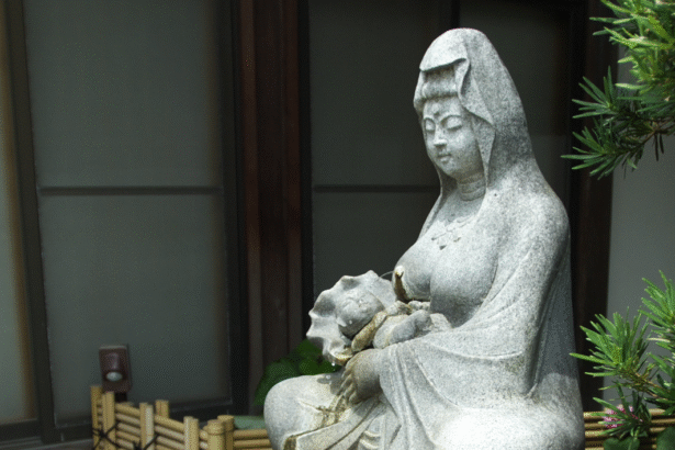 image 5 1