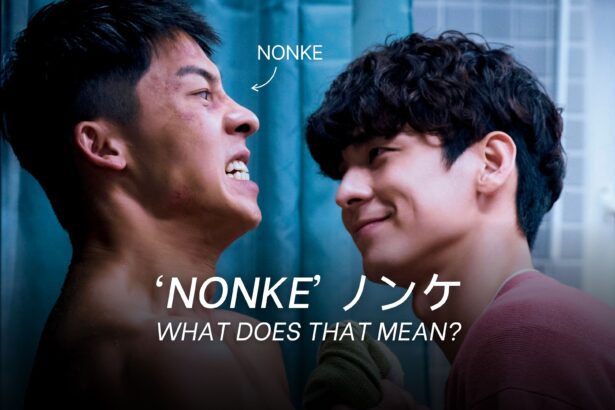 nonke meaning