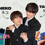 tachi and neko meaning