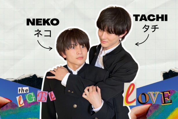 tachi and neko meaning