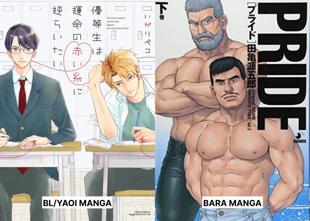 Yaoi Manga vs Bara Manga