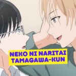 Neko ni Naritai Tamagawa kun 1