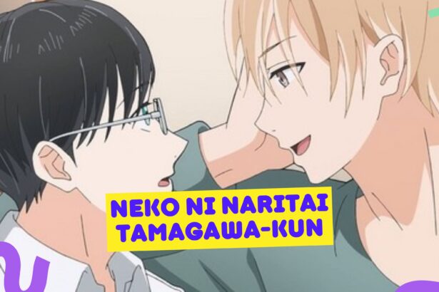 Neko ni Naritai Tamagawa kun 1