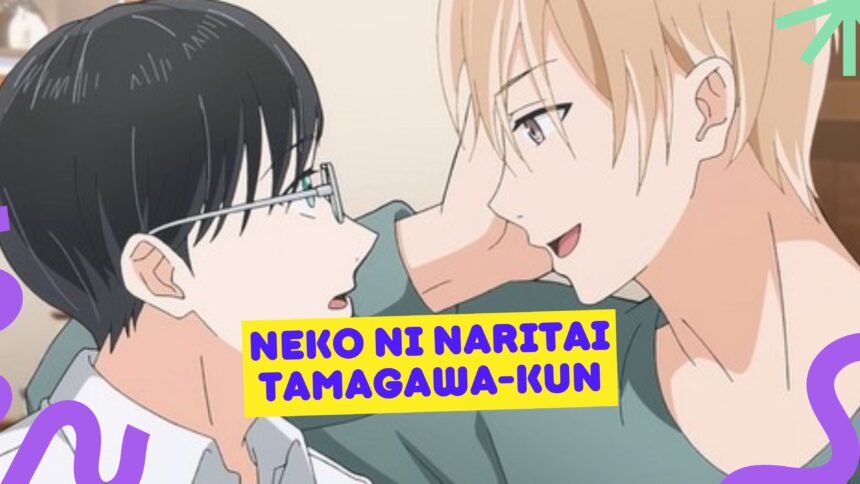 Neko ni Naritai Tamagawa kun 1