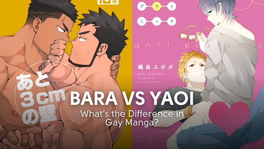 Bara vs Yaoi 1