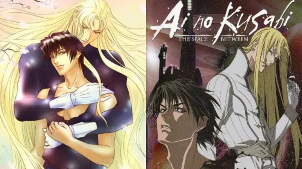 Top 5 Yaoi Anime from the 1990s 11 ainokusabi