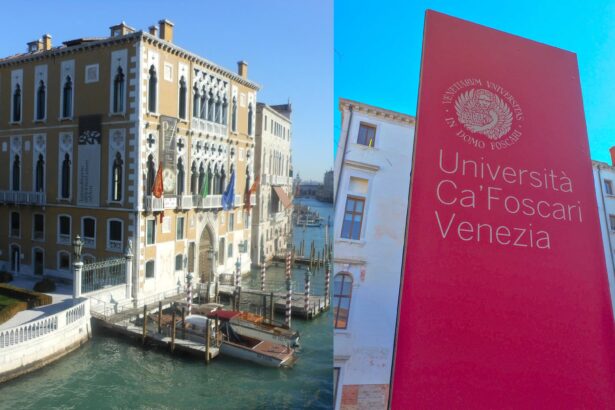 BL manga venezia ca foscari uni