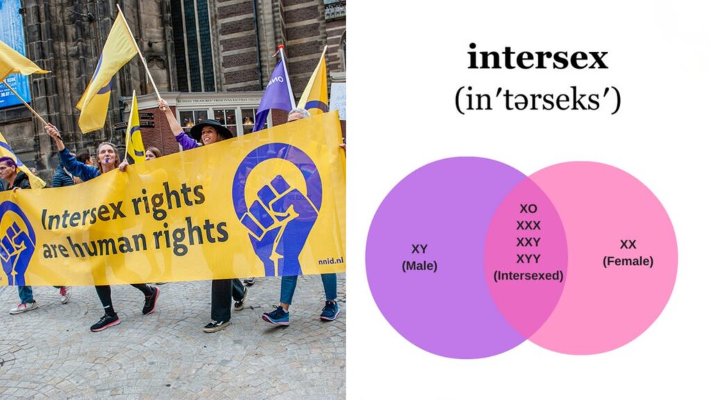 intersex and dsd what is intersex
