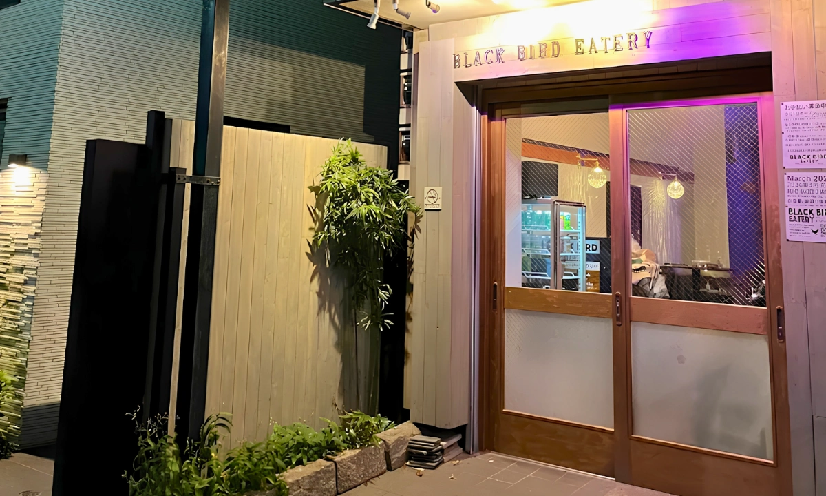 Black Bird 2