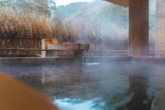 An outdoor onsen bath. In the middle distance, water pours from a wooden spout. Steam rises from the water. In the background is a wooded mountain.